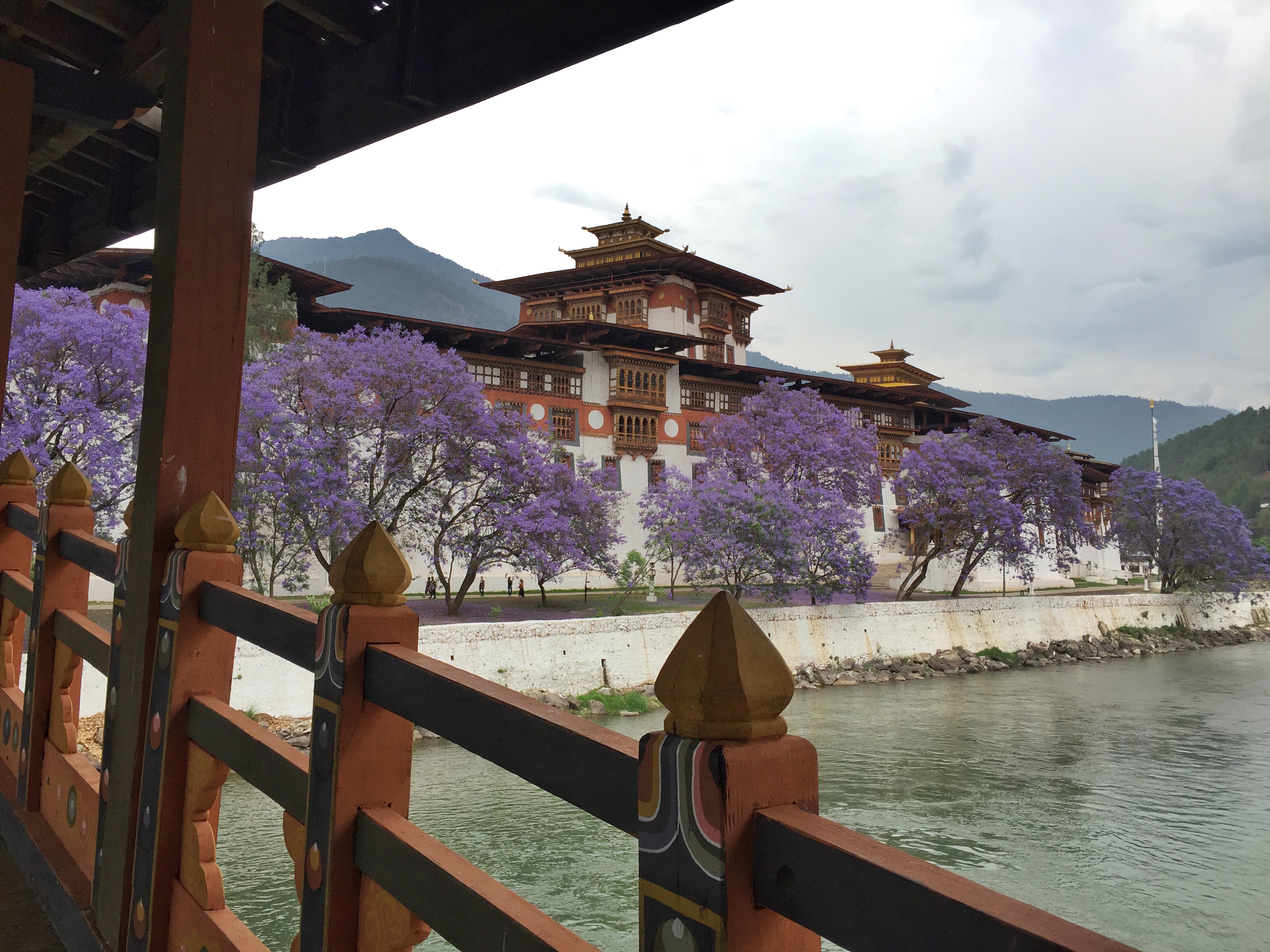 MY 10 REASONS TO VISIT BHUTAN- THE LAND OF THE THUNDER DRAGON